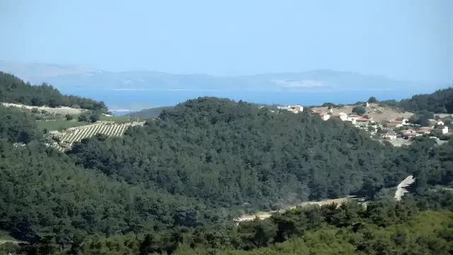 Urla'da 15 hektarlık doğal sit alanı yapılaşmaya açıldı