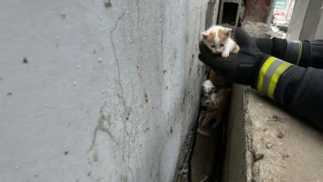 Minik canlara Adıyaman İtfaiyesinin eli uzandı