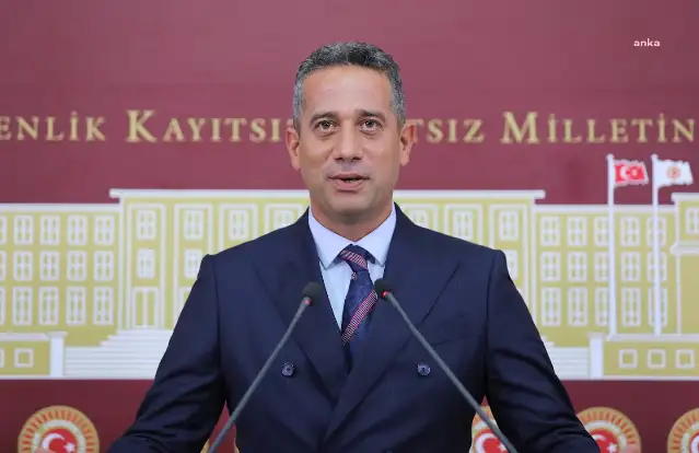 CHP'li Başarır: YSK'ya atanan Mutta'nın doktora diploması tartışmalı