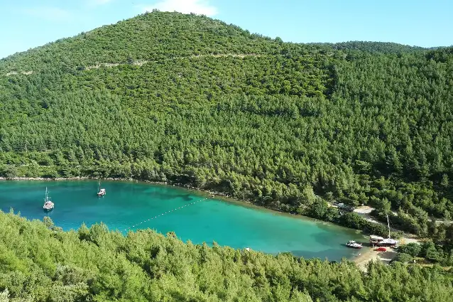 Bodrum'da orman, tarım ve doğal sit alanındaki turizm projesine ÇED onayı verildi