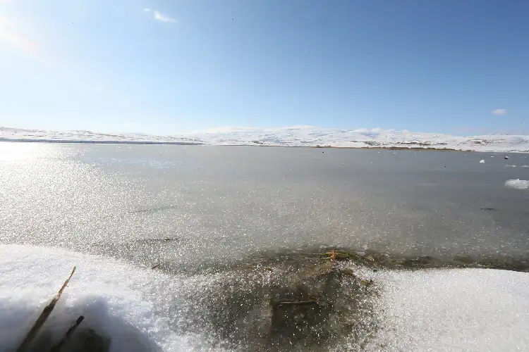 Kars-Ardahan sınırındaki 123 kilometrekare alana sahip Çıldır Gölü'nün yüzeyinde, soğuk hava nedeniyle buz tabakaları oluşmaya başladı.